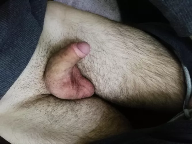what do think, fat cock for 18yo?