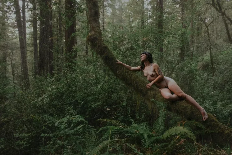 What does freedoms feel like to you?