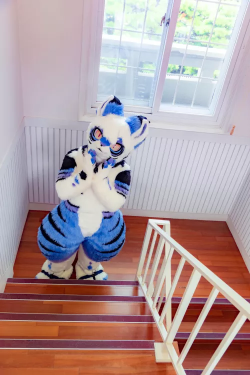 What's Going On up There?