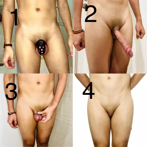 Which one is better: locked, castration, penectomy or nullo?