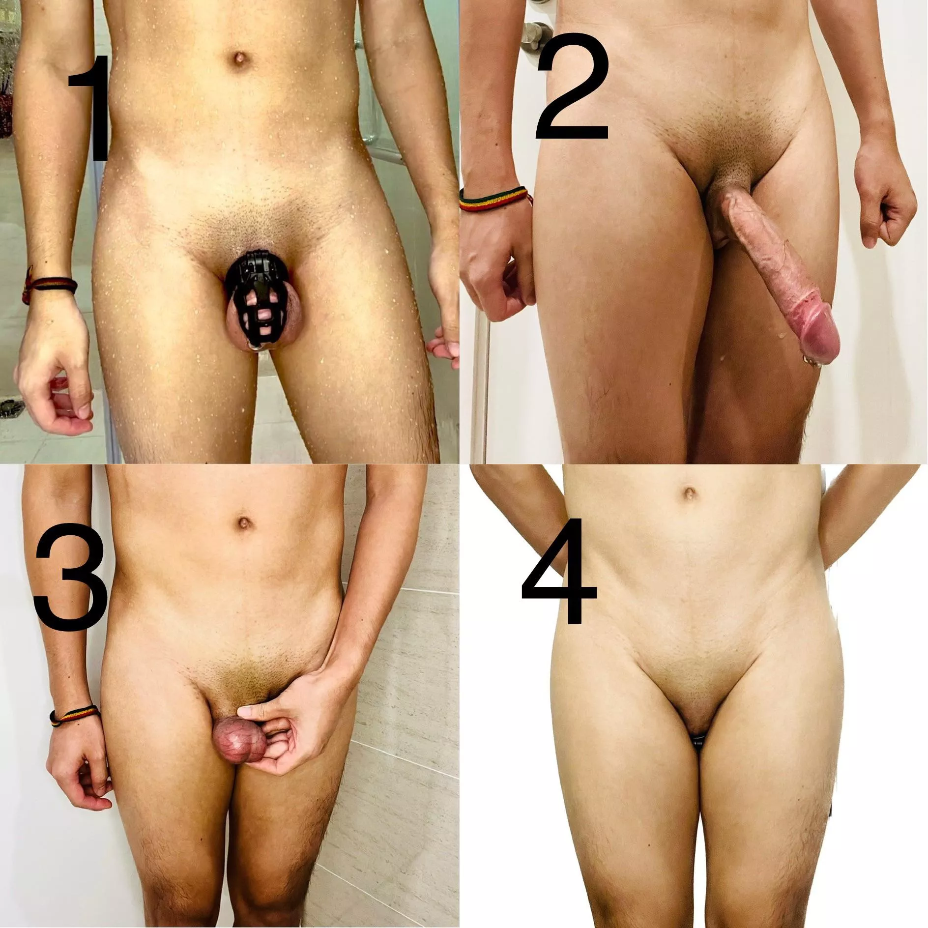 Which one is better: locked, castration, penectomy or nullo?