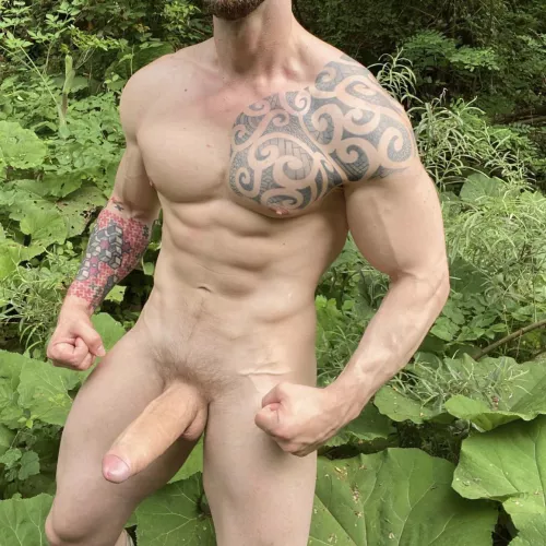 Who wants to explore the forrest with me?