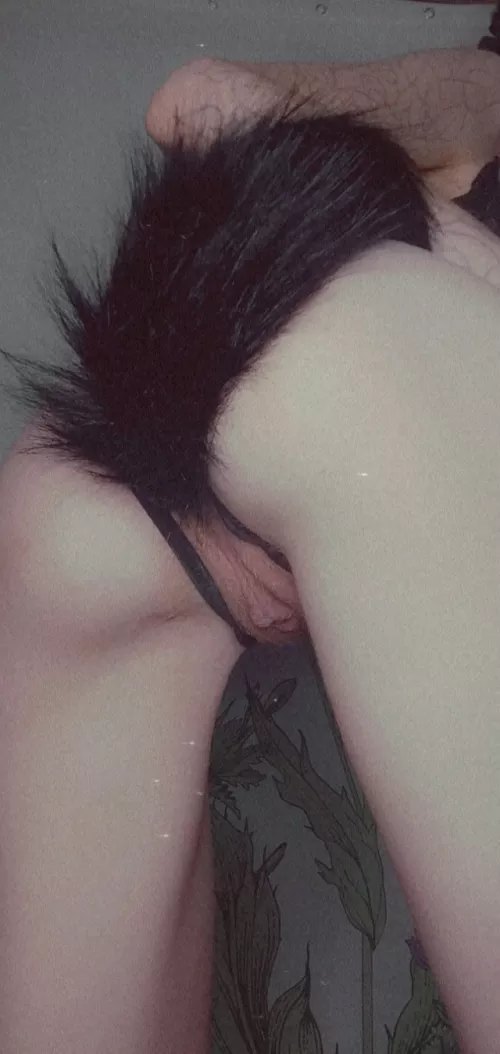 woof woof this puppy is in heat and my pussy is drooling waiting for you