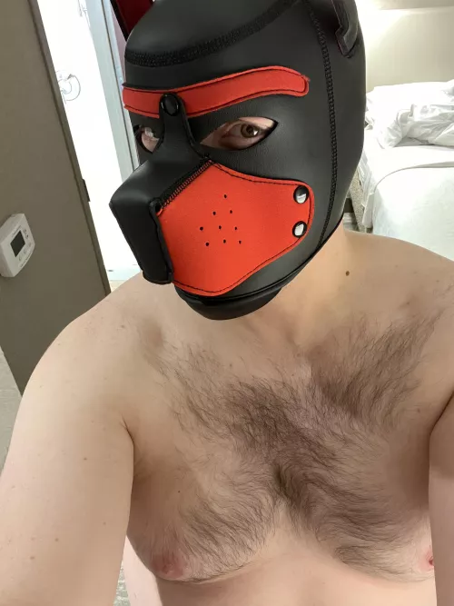 You guys made me howl with your support on my first post. Now you’ve inspired me to post more!