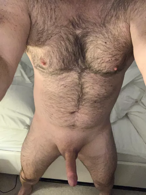 [31] Would a closet sub starting his journey into pup play interest you in some chat? How about putting me in chastity and placing a collar around my neck?