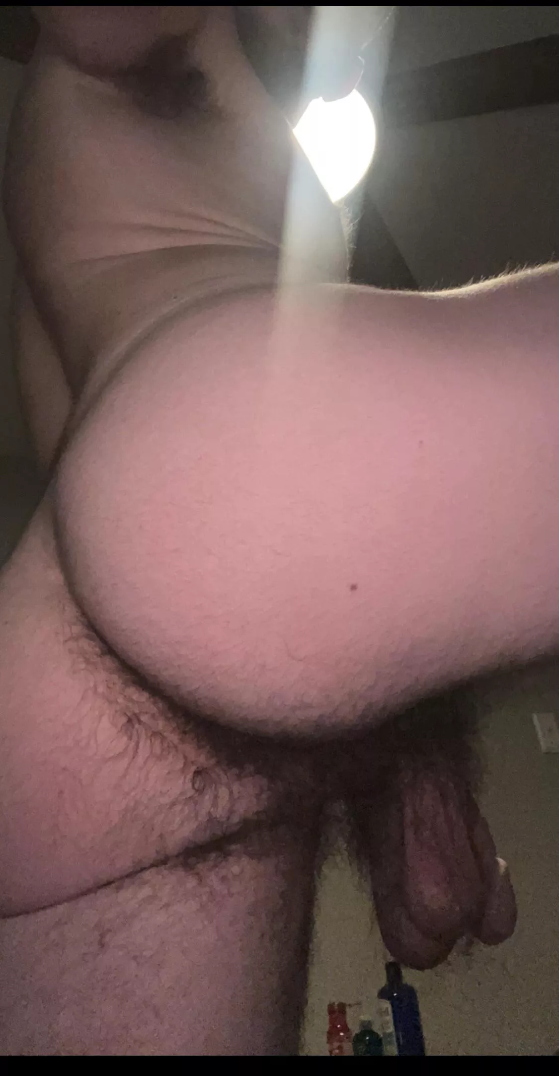 A forest to get lost in