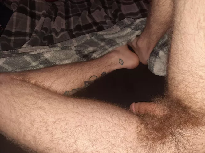 a full bush and some hairy legs