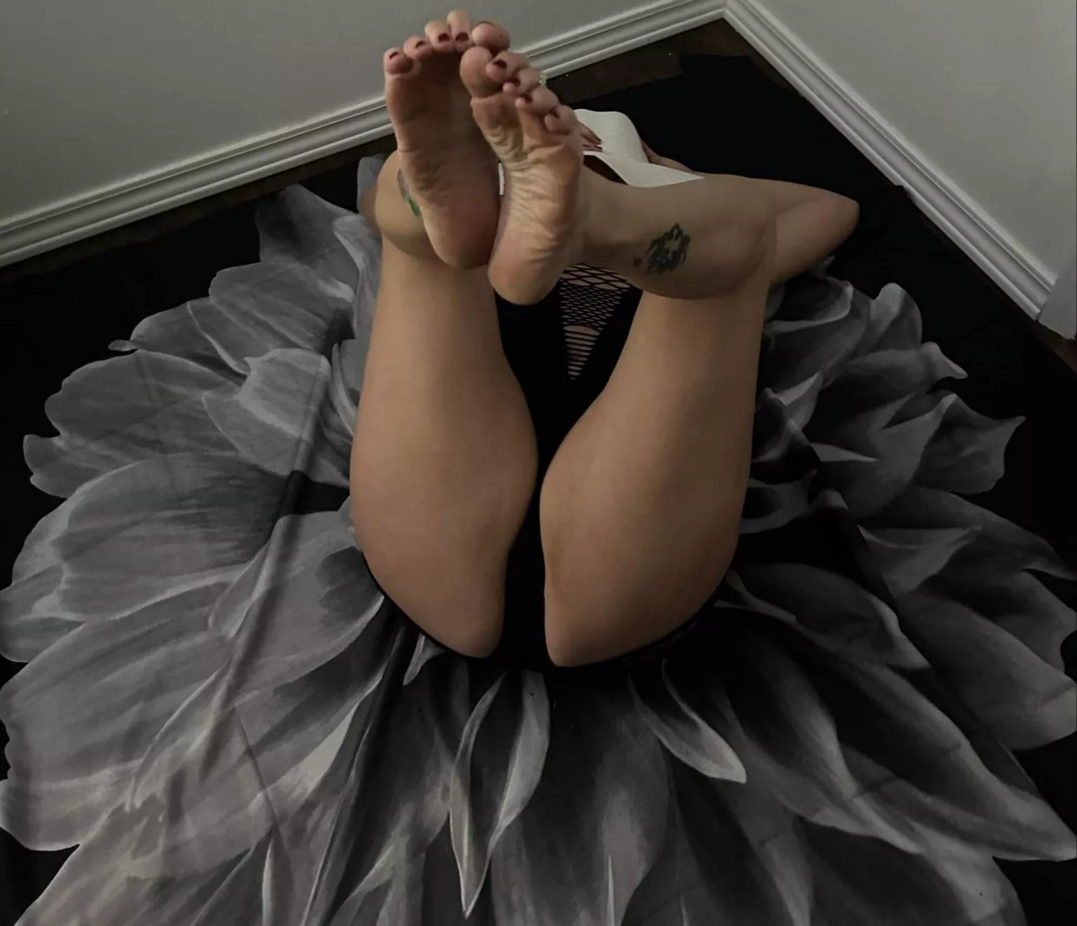 A great Imagination is a wonderful thing! wwyd?