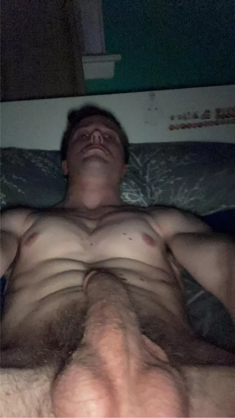 Alpha cock goes up to the pecs