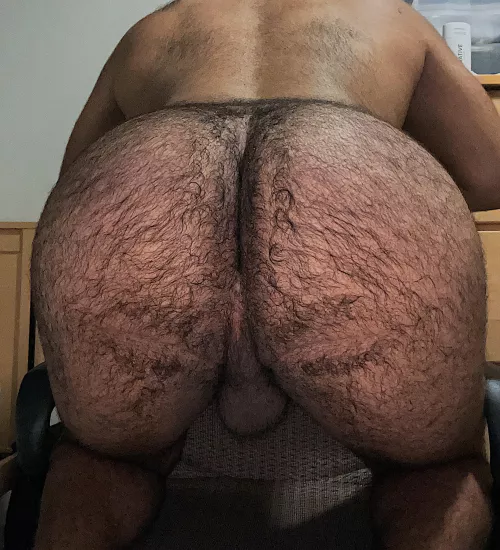 Anybody need a college boy with a fat hairy ass?