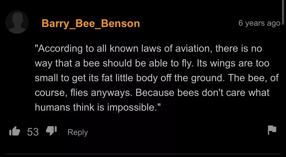 Aviation of Bee