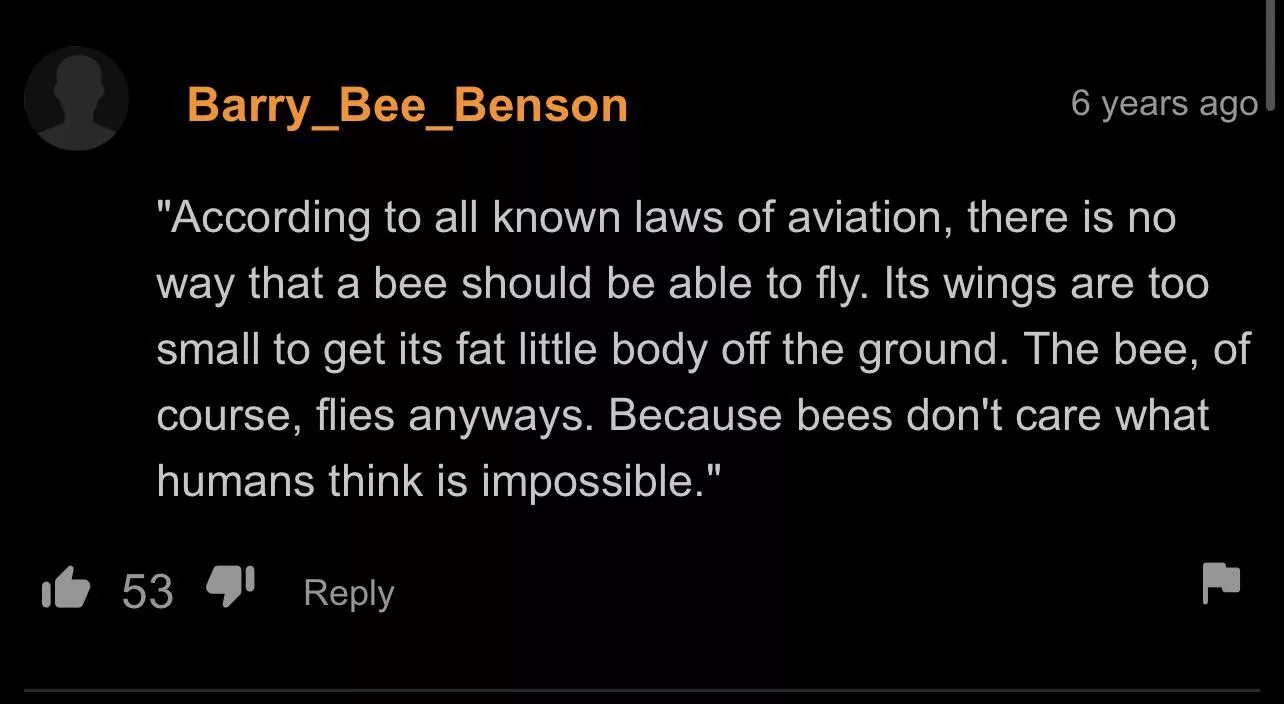 Aviation of Bee