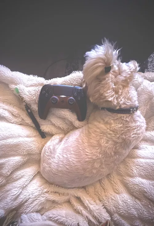 Best way to end the night.