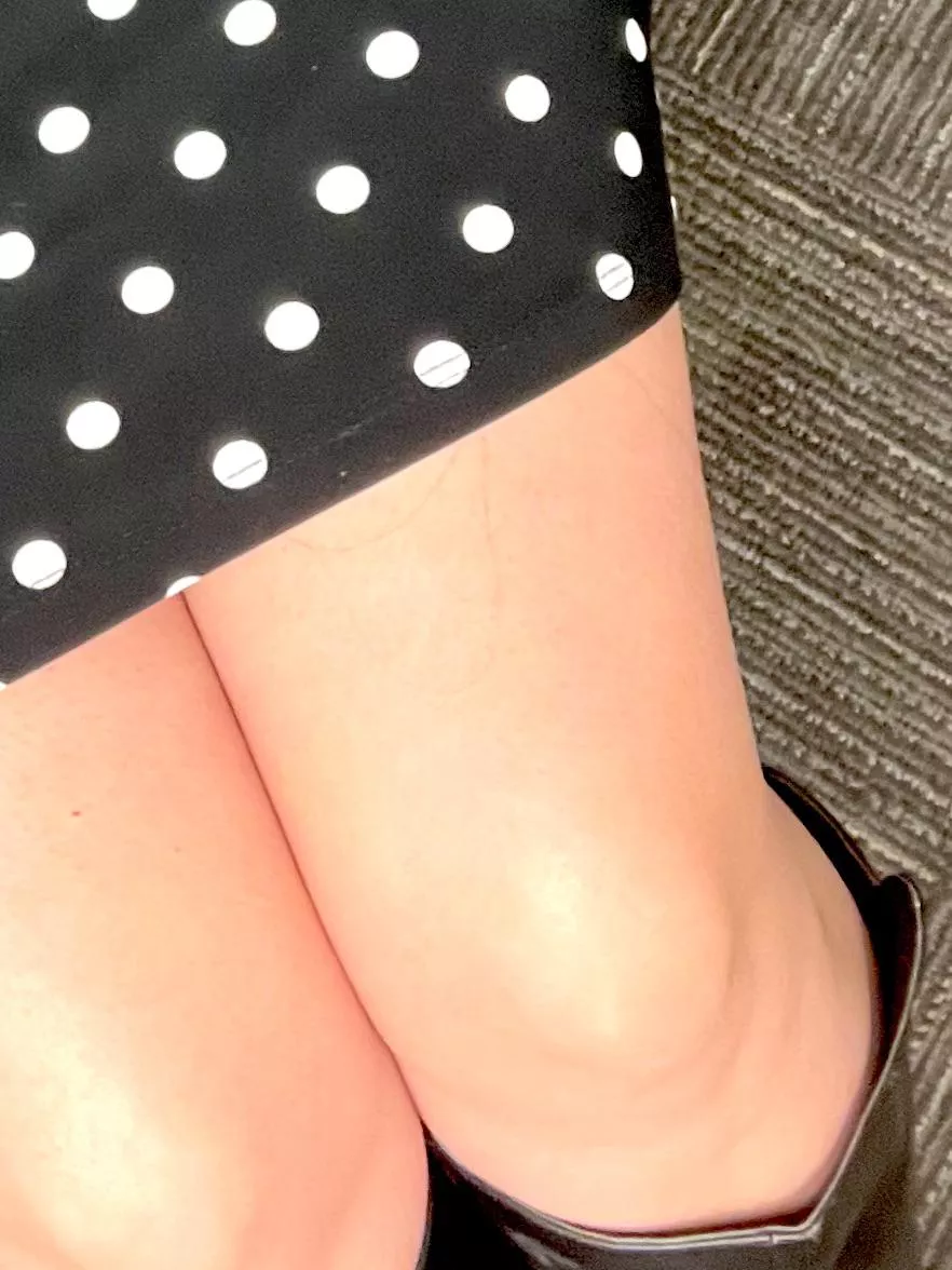 Classic office carpet