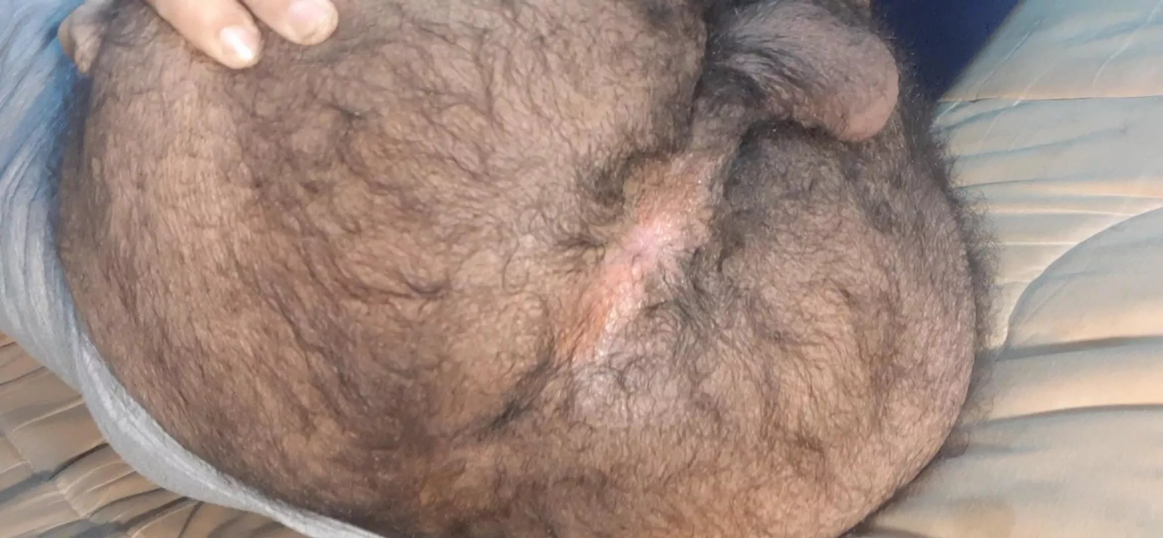 hairy feast