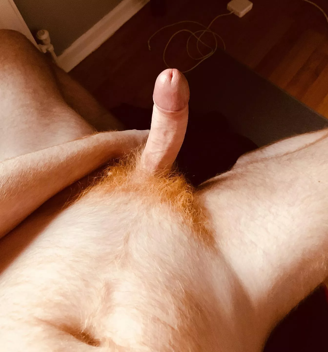 How about this for a stocking filler? 👨🏻‍🦰