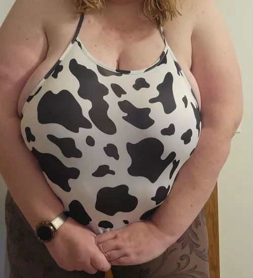 Huge udders overflowing top