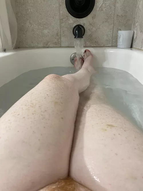 I spy a wet Fire Bush 🔥❤️