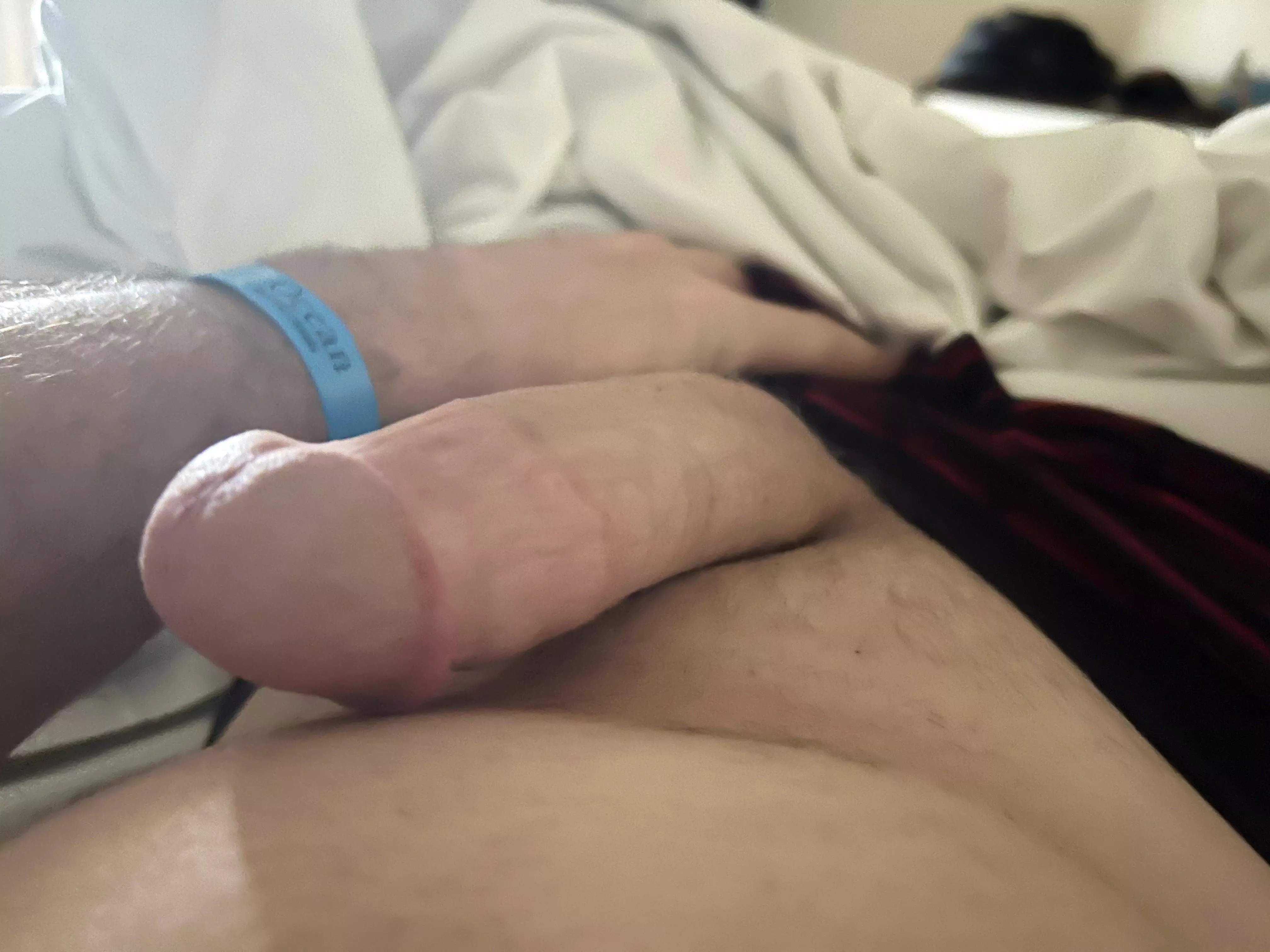 Just a hard cock [m]