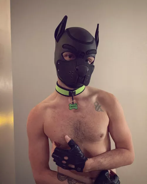 let me take over control