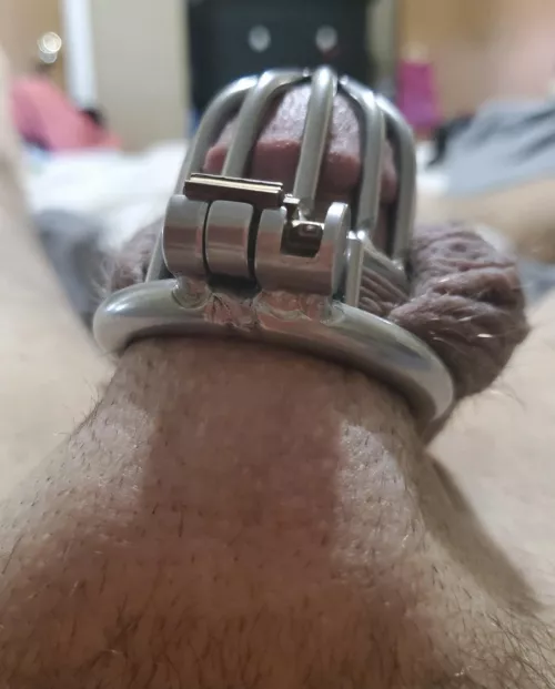 lol.. his poor Clitty straining against his cage.. 🤣🤣🤣🤣😈