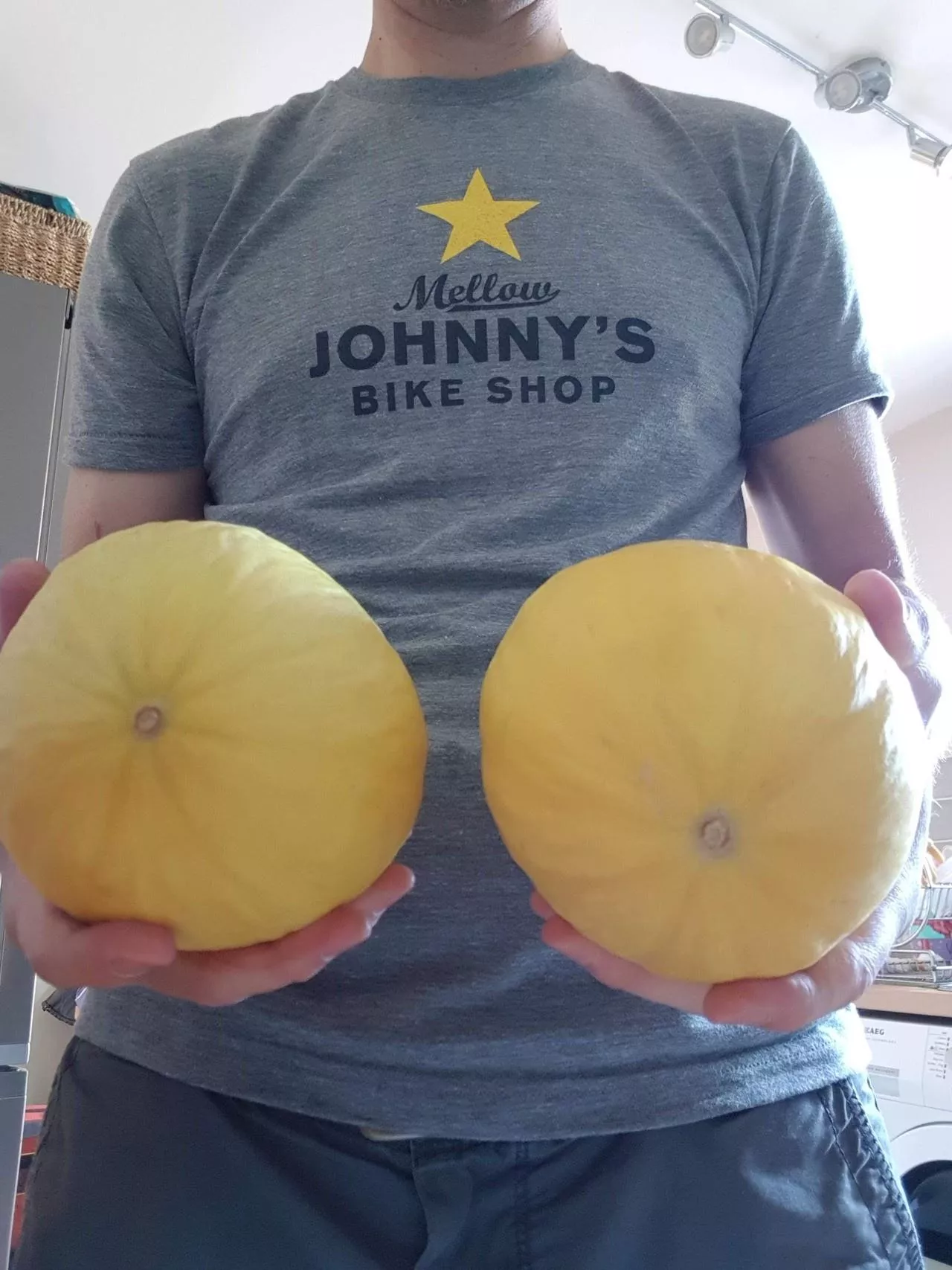 My handbra application (48)