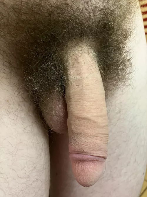 My soft and hairy American cock