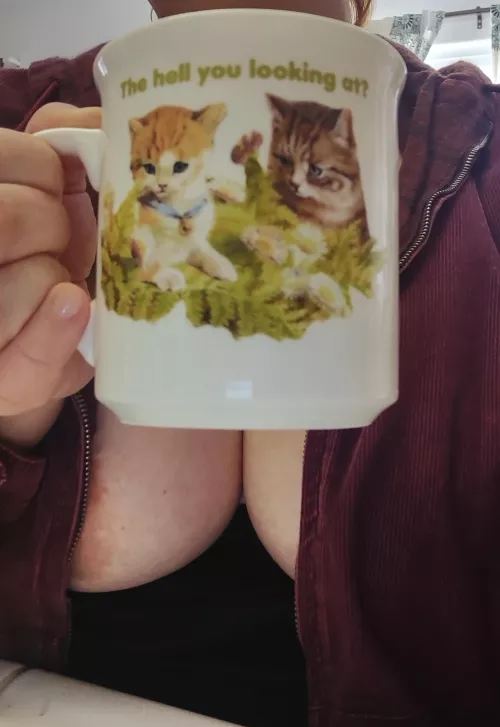 Nothing to see here, just two kitties