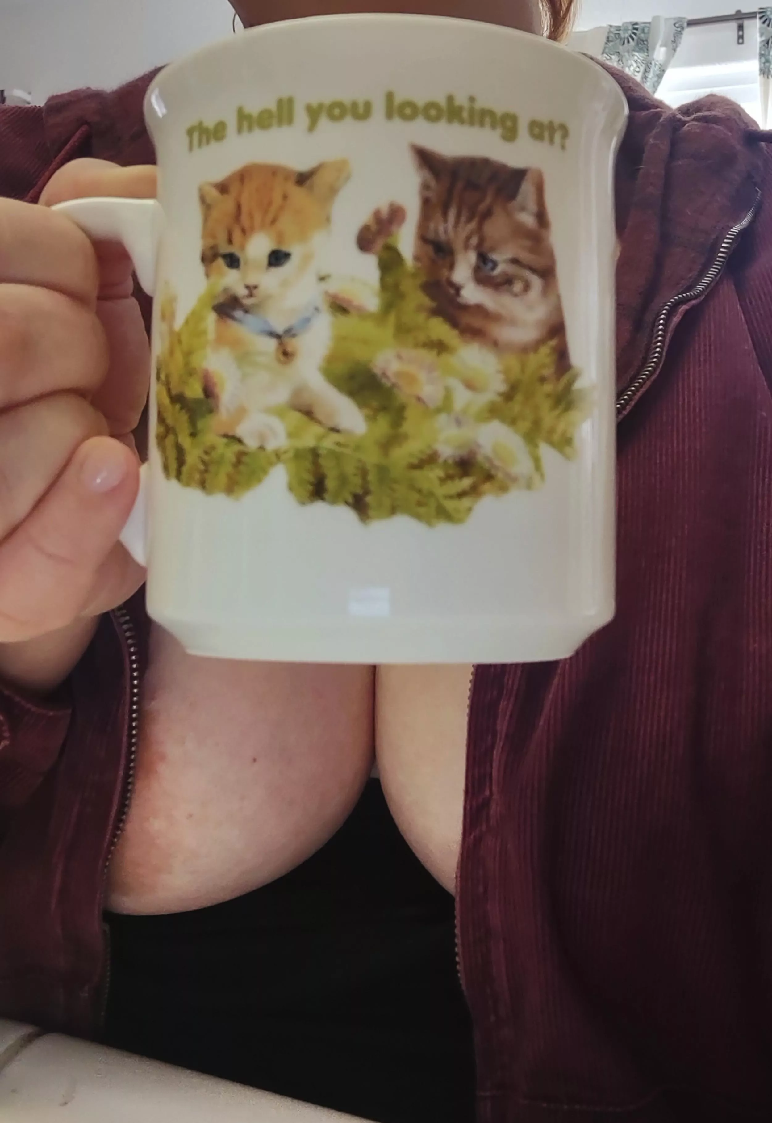 Nothing to see here, just two kitties