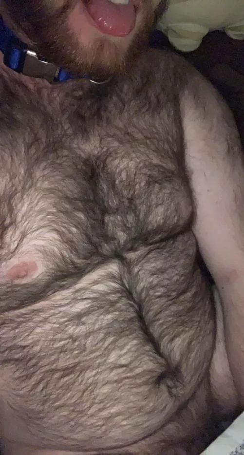 Now just grab your leash