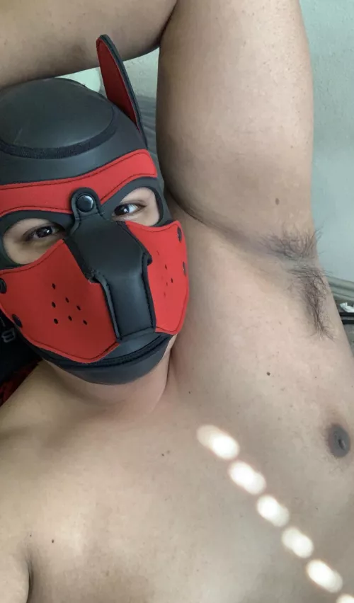 Puppy is excited for the weekend. Start it off with a sniff of my pit?