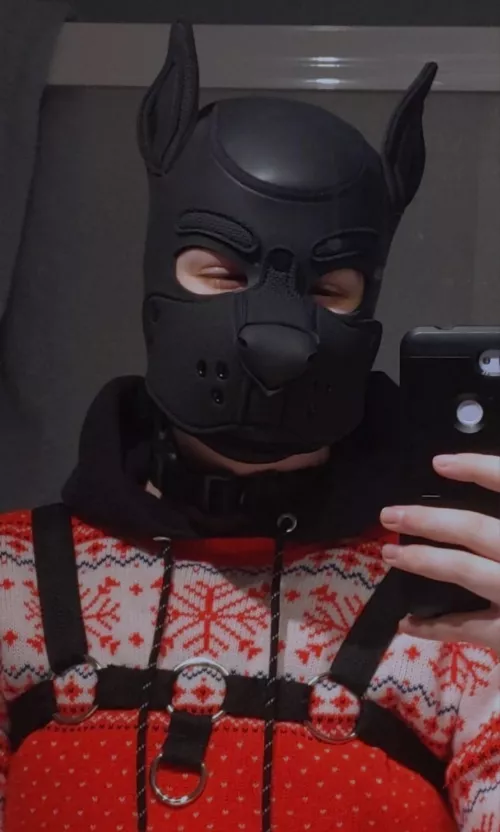 Santa Paws reporting for duty!! 🎄