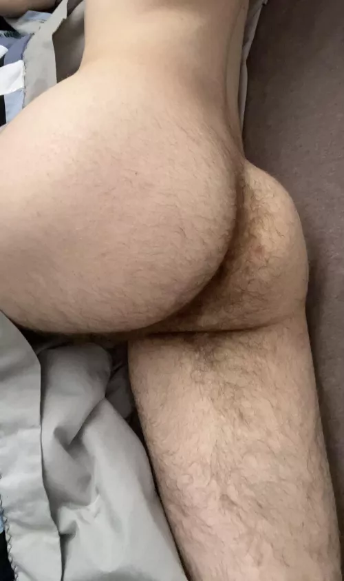 Take a trip in the forest