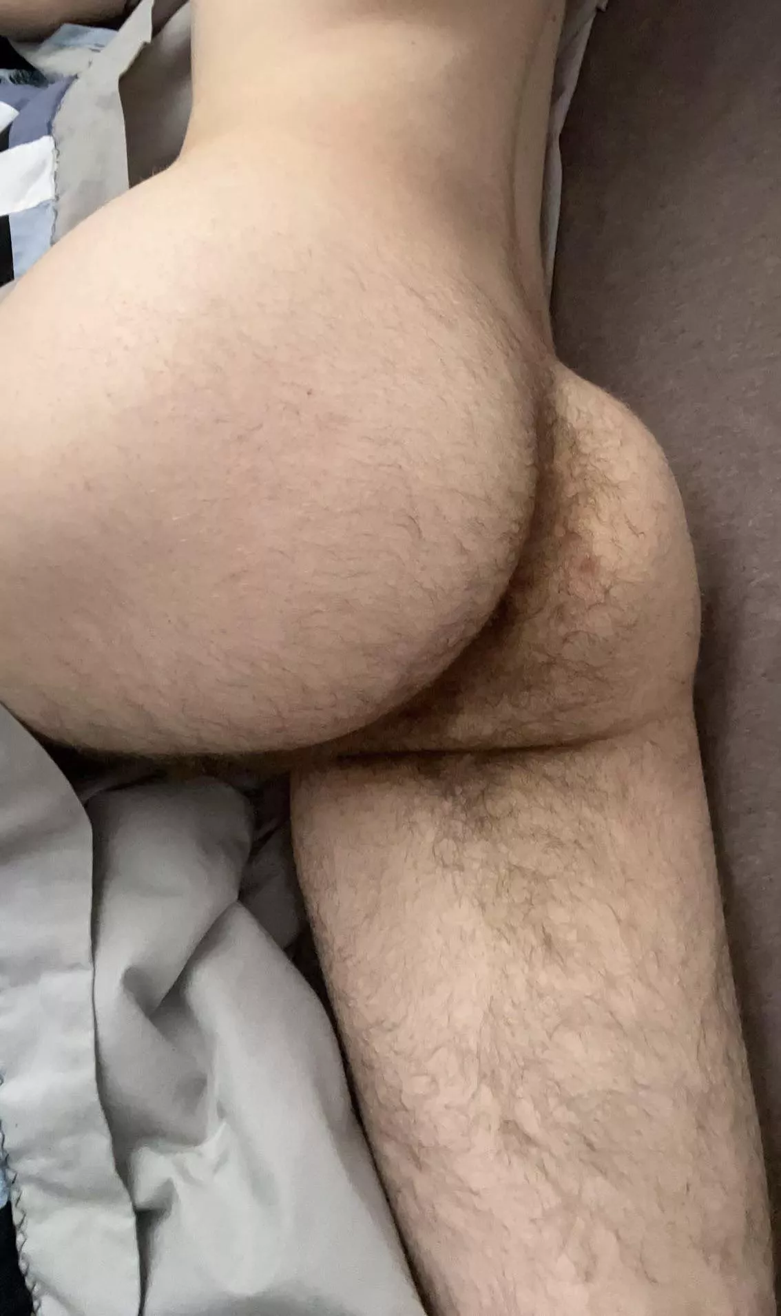 Take a trip in the forest