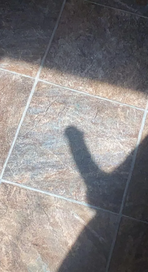 The sun shined hard but I was harder