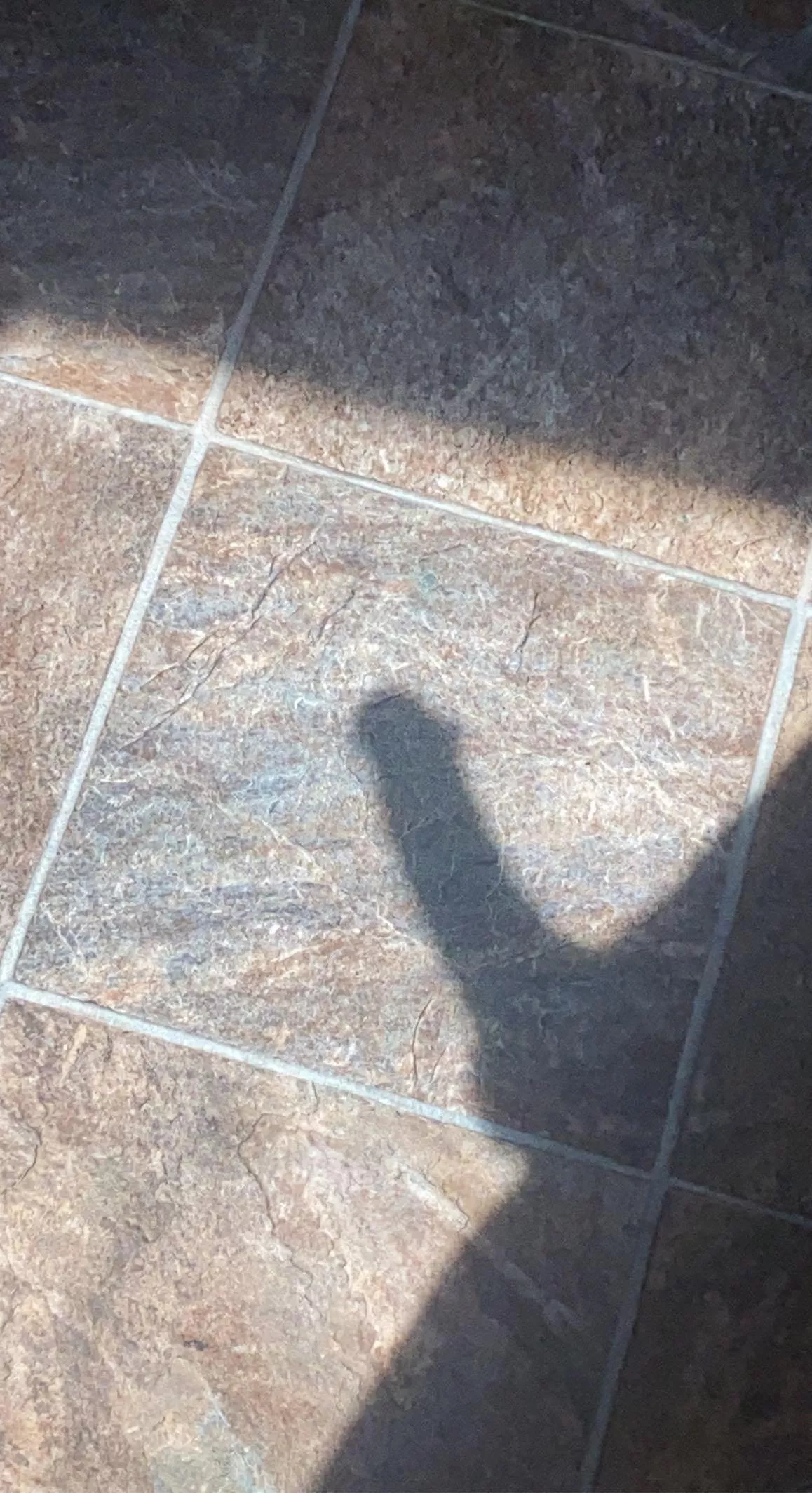 The sun shined hard but I was harder