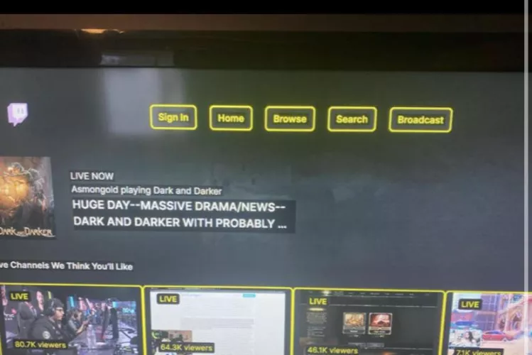 Twitch broken Xbox? Literally the front page of twitch Mod Use your brain