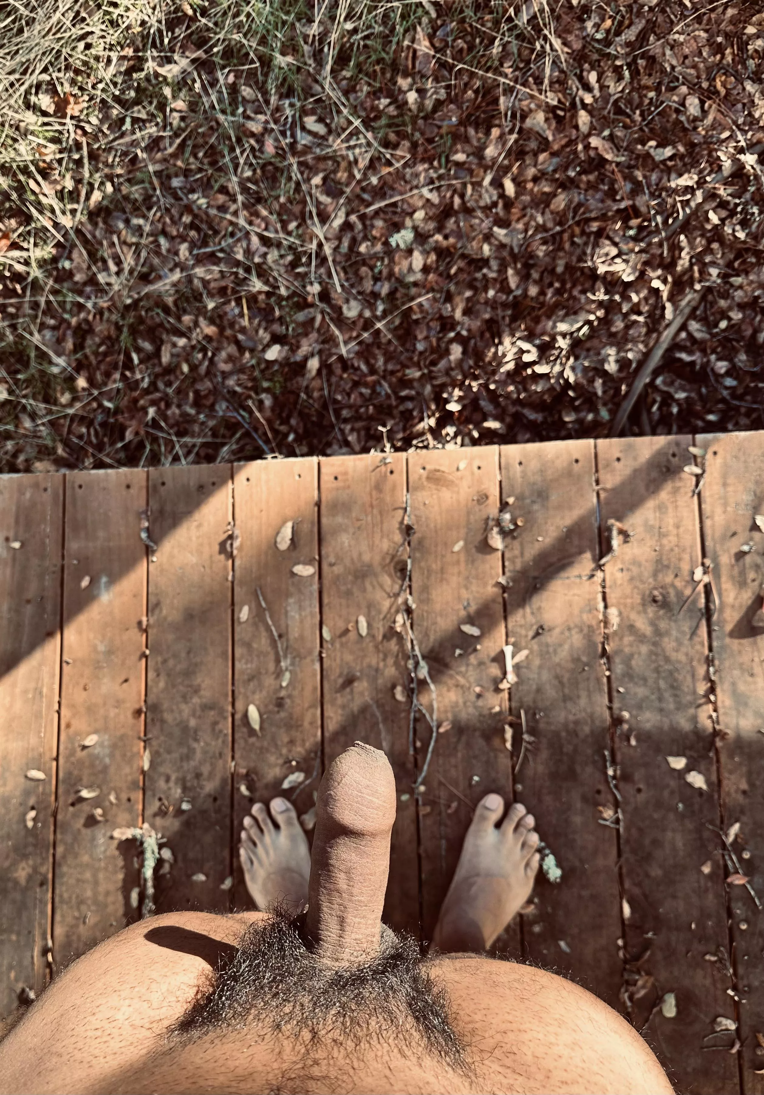 Wanted to see how cold it was outside.