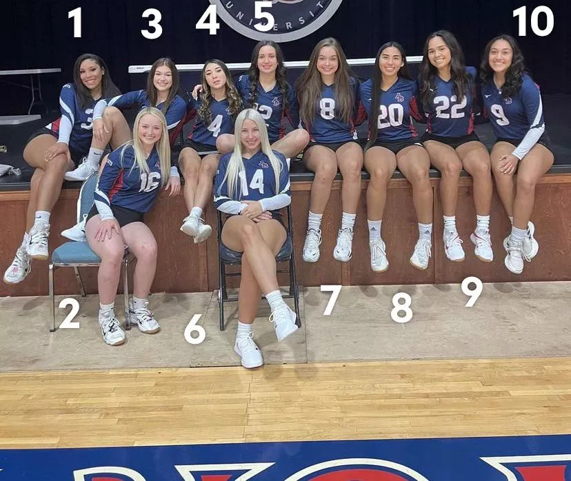 Whole lotta options.