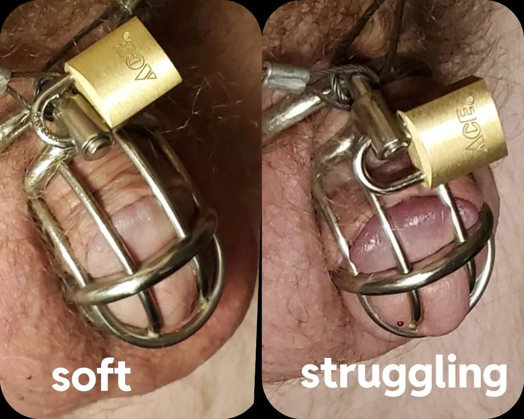 A different take on cuckold comparison.