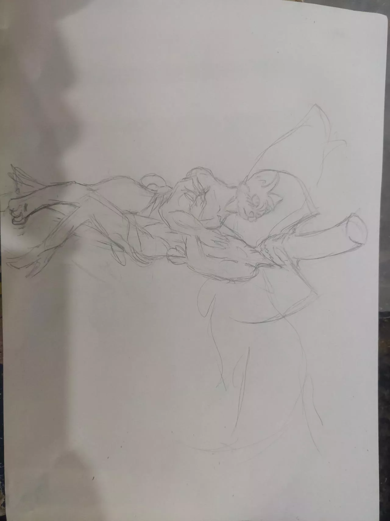 Anthro!Morgana x Arsene sketch