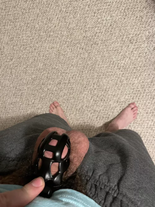 Any dom men want to control mine?