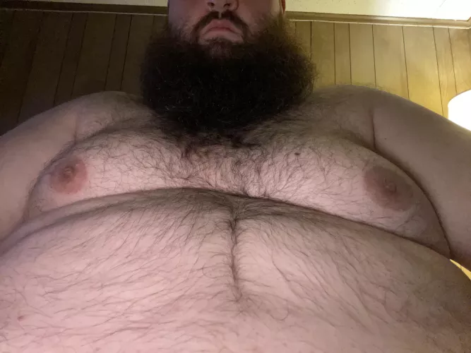 Any ladies in here like big hairy bearded guys like myself? Let’s chat.