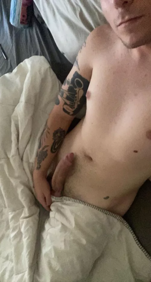denver twink 24