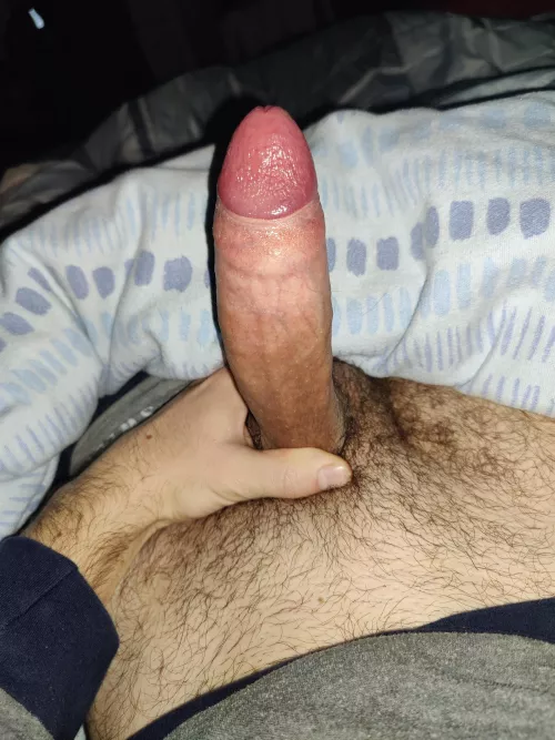do you like my morning wood?