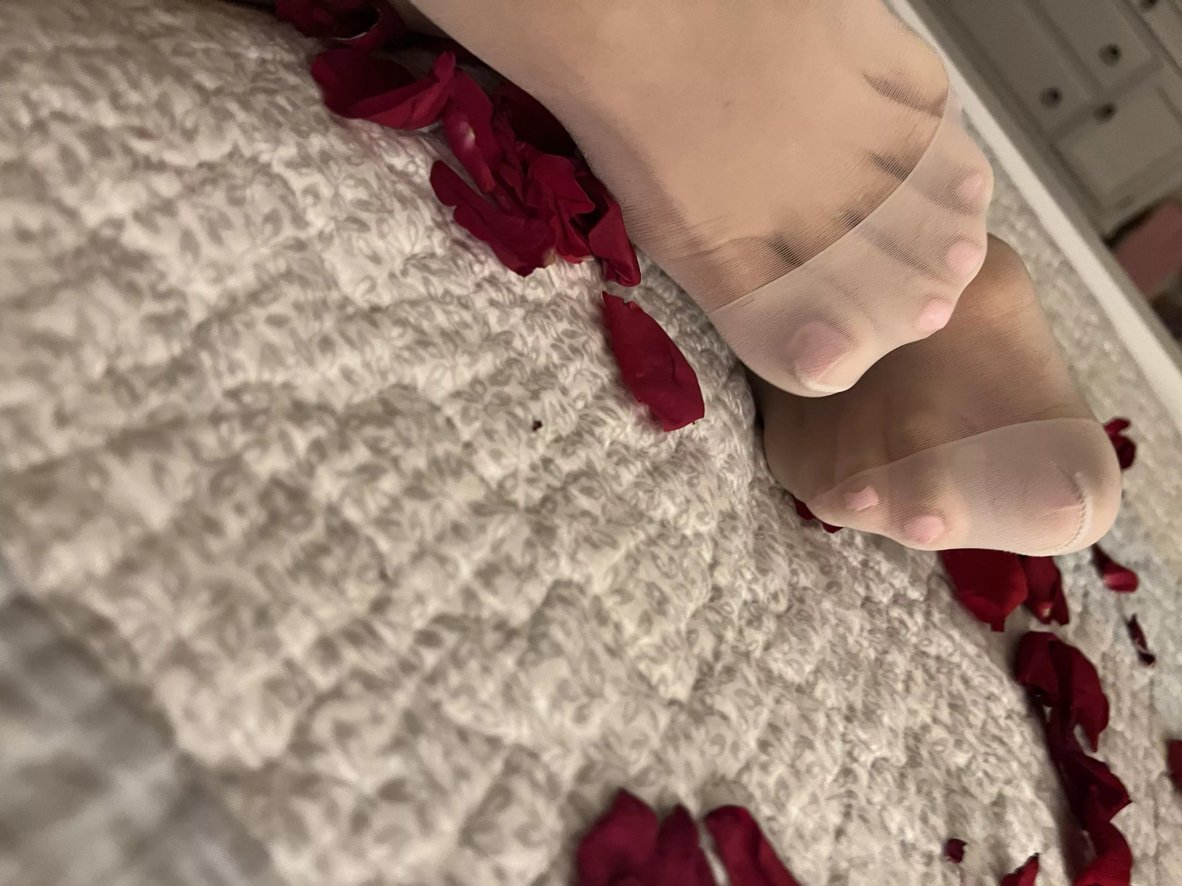 Do you like my toes in tights?