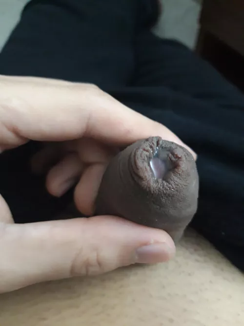 Do you want a precum shot from my foreskin ? (feel free to DM)