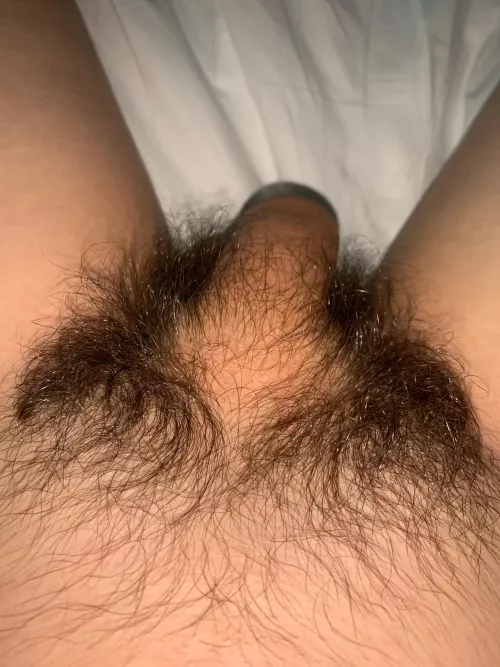 Enough pubes?