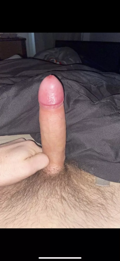 FaceTime me jerking ur dick