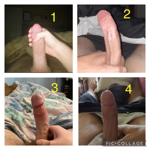 Final round!!! Which cock do you think should win it all? 😋